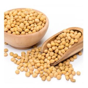 SOYABEAN