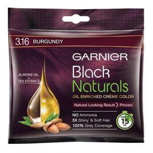 GARNIER BLACK NATURALS 3.16BURGUNDY POUCH