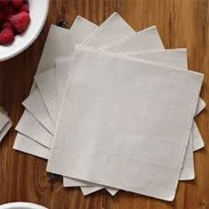 PAPER NAPKIN(100)